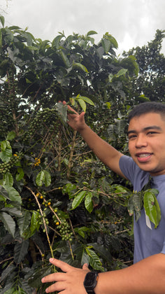 Load image into Gallery viewer, Coffee Bean Farmer displaying the ethically sourced Coffee bean plant