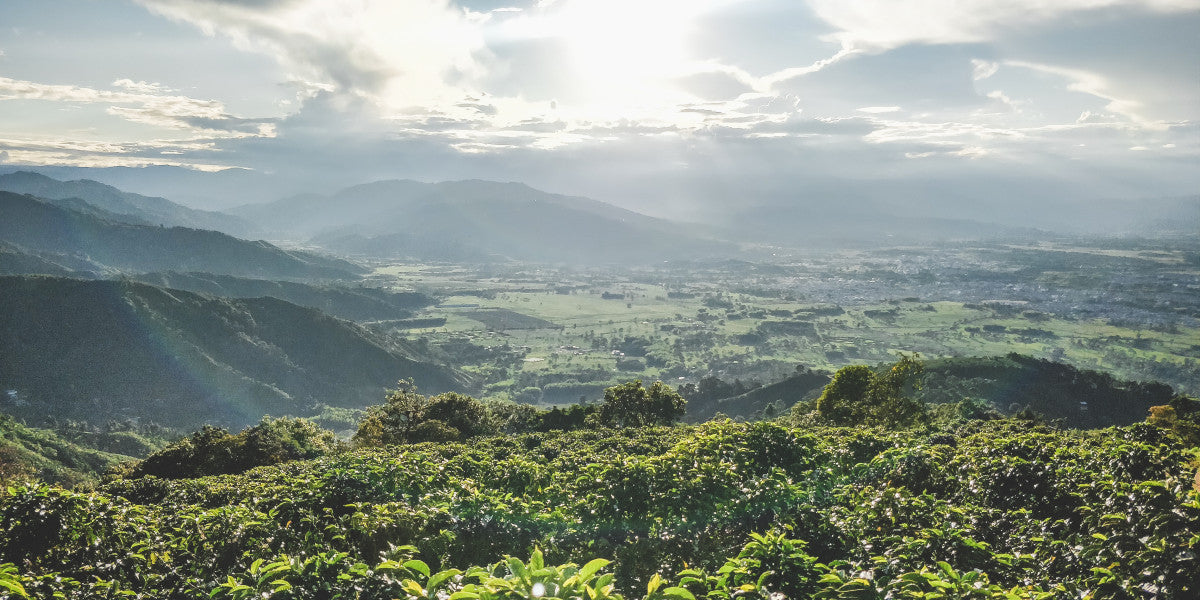 Scenic view of a lush green landscape with mountains and clouds.