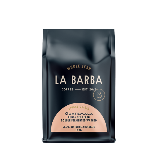 Guatemala | Punta Del Cerro | Double Fermented Washed