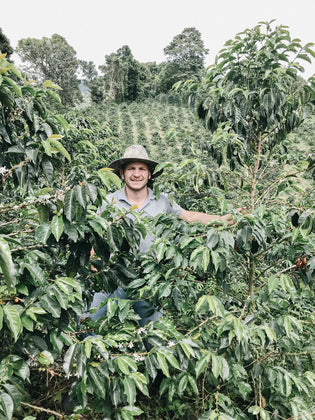 Load image into Gallery viewer, Colombia | Sebastian Ramirez White Honey Geisha, (10 oz)
