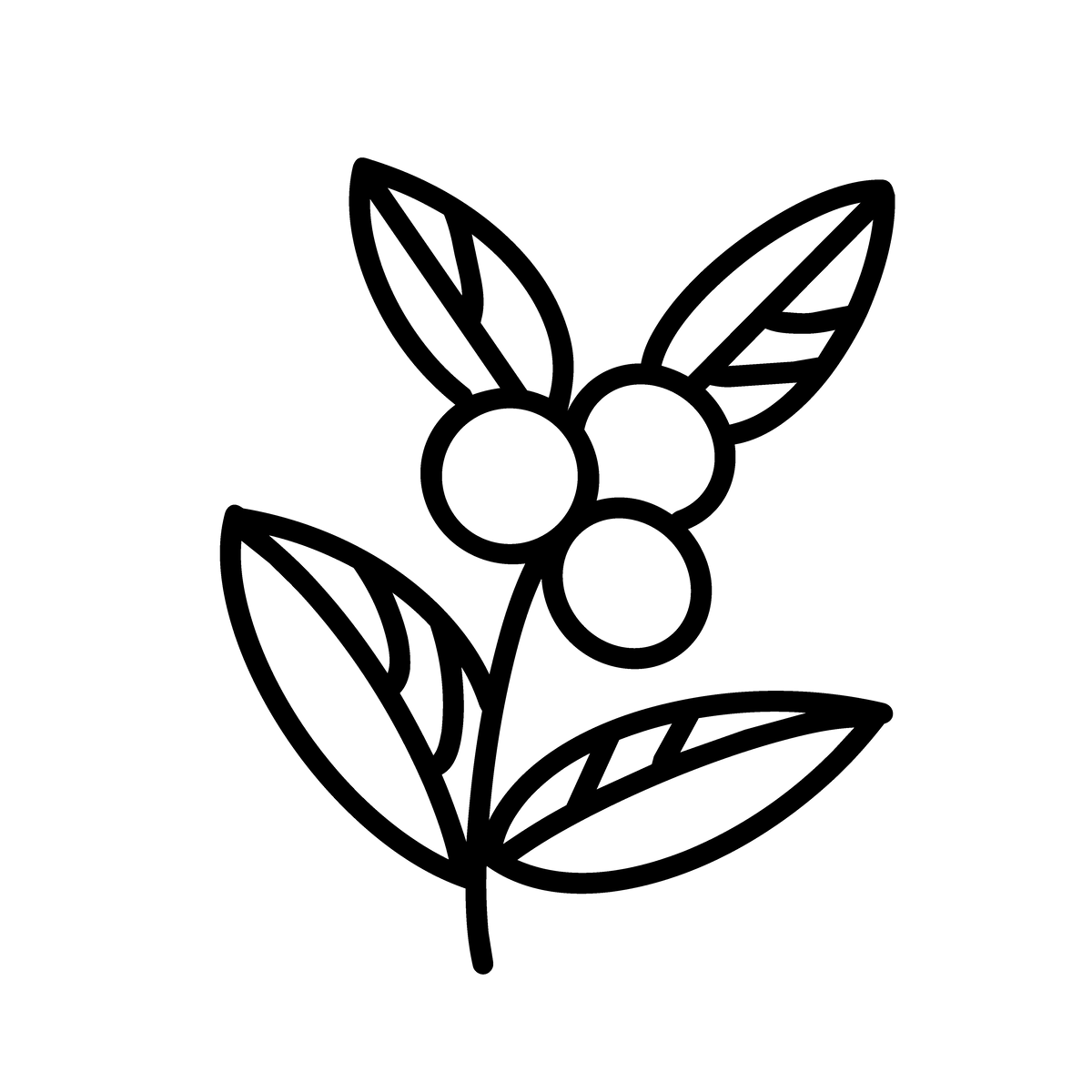 coffee plant icon